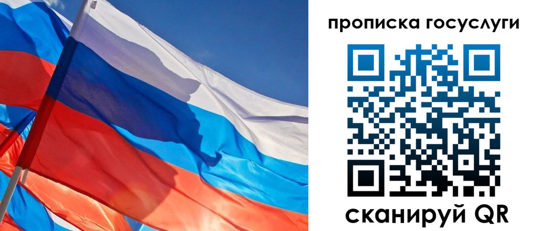 временная регистрация госуслуги в Ельне