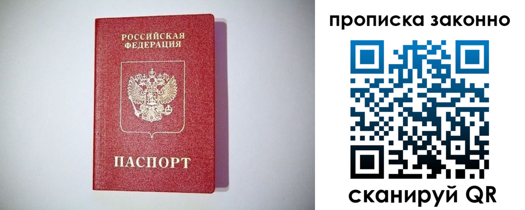 прописка для школы в Ельне