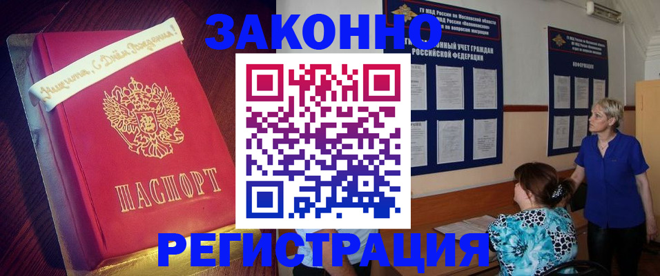 прописка поиск в Ельне